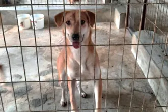 Mama