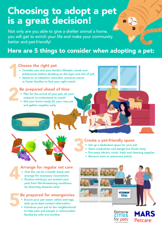 5 things to consider when adopting a pet