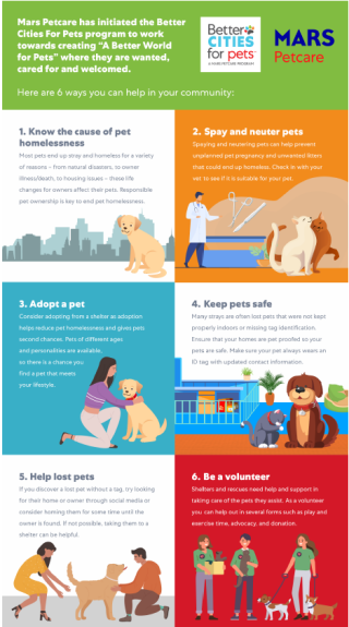 6 ways to reduce pet homelessness