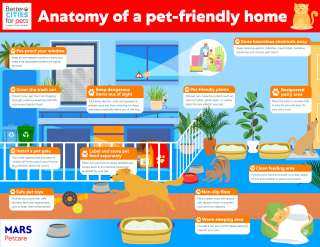 Anatomy of a pet-friendly home