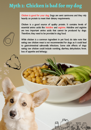 Myth 1 Chicken is bad for my dog
