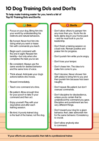 10 Dog Training Do's and Don'ts