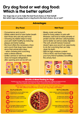 Dry dog food or wet dog food, which is the better option?