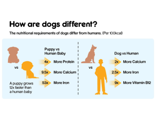 How are dogs different?