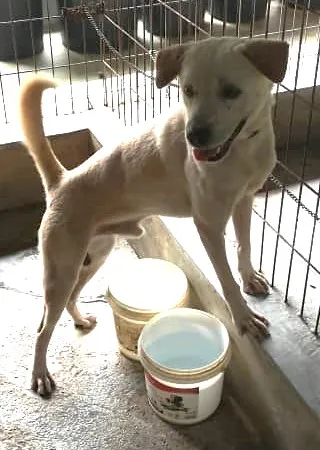 QQ