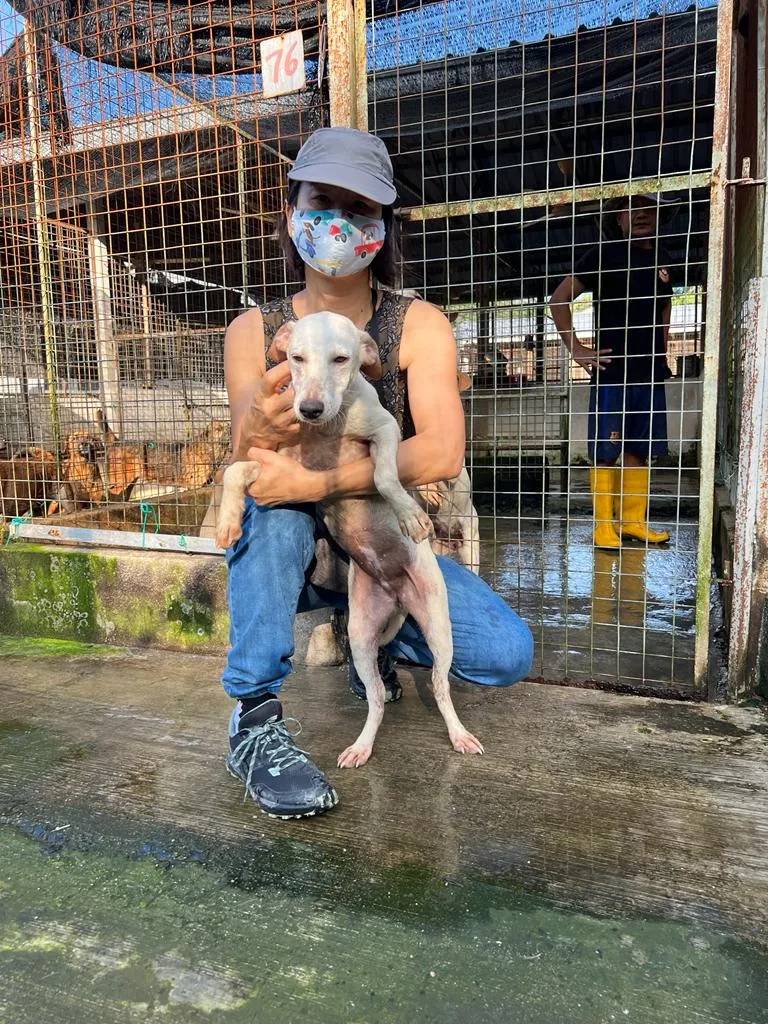 Milky_F_7 months_active_Not N_1_cage 57