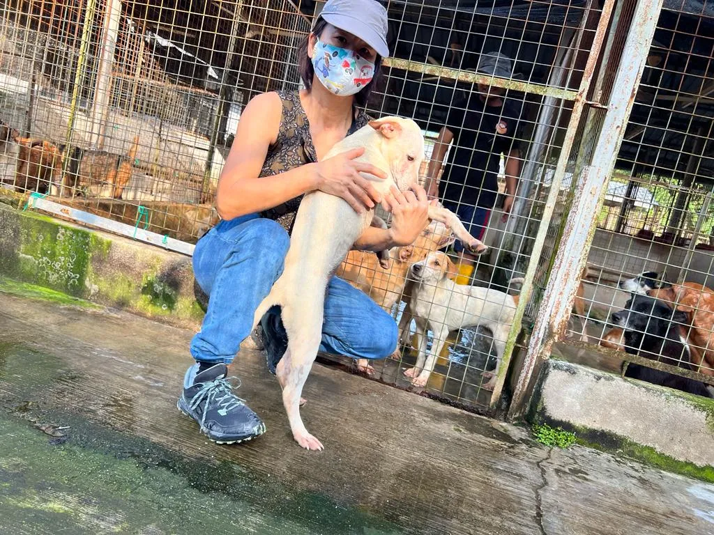 Milky_F_7 months_active_Not N_1_cage 57