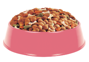 Food Bowl